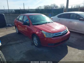  Salvage Ford Focus