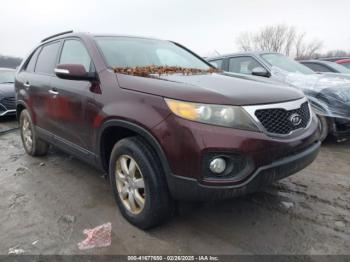  Salvage Kia Sorento