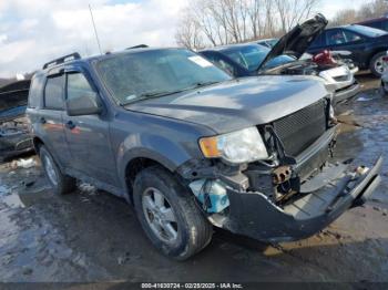  Salvage Ford Escape