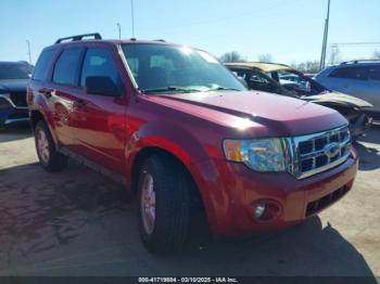  Salvage Ford Escape