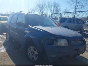  Salvage Ford Escape