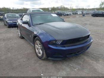  Salvage Ford Mustang