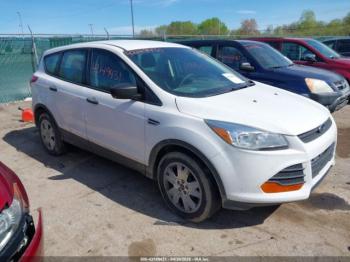  Salvage Ford Escape