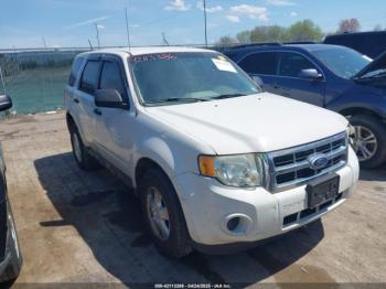  Salvage Ford Escape