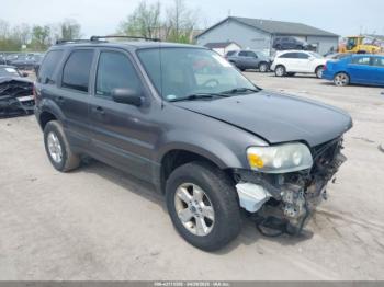  Salvage Ford Escape