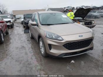  Salvage Ford Escape