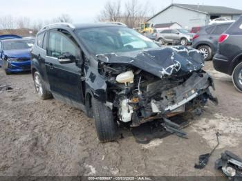  Salvage Ford Escape