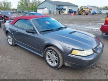  Salvage Ford Mustang