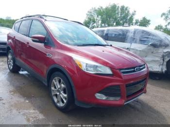  Salvage Ford Escape