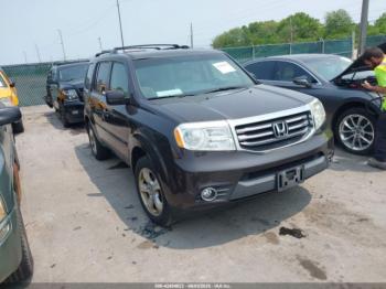  Salvage Honda Pilot