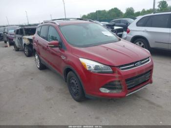  Salvage Ford Escape