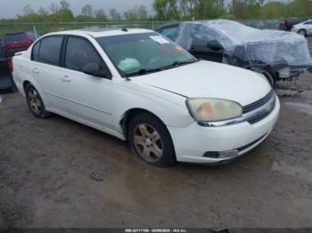  Salvage Chevrolet Malibu
