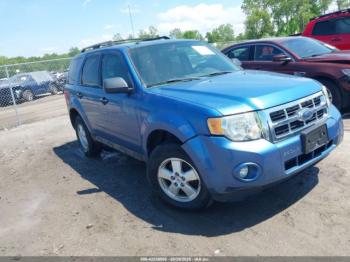  Salvage Ford Escape