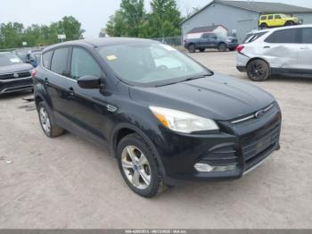  Salvage Ford Escape