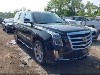  Salvage Cadillac Escalade