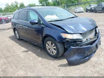  Salvage Honda Odyssey