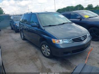  Salvage Honda Odyssey