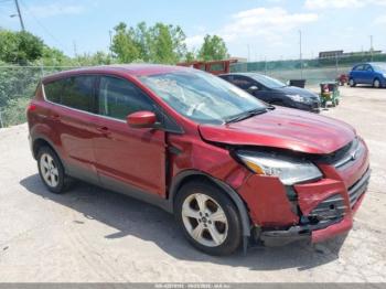  Salvage Ford Escape