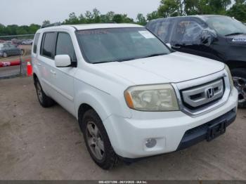  Salvage Honda Pilot