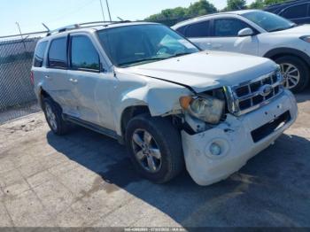  Salvage Ford Escape