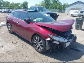  Salvage Nissan Maxima