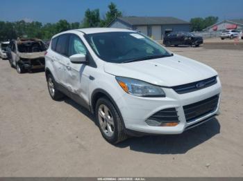  Salvage Ford Escape