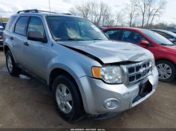  Salvage Ford Escape
