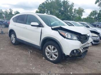  Salvage Honda CR-V