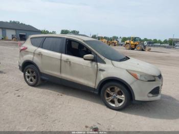  Salvage Ford Escape