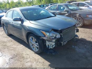  Salvage Nissan Maxima