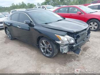  Salvage Nissan Maxima