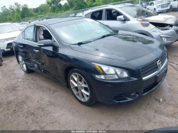  Salvage Nissan Maxima