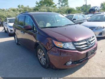  Salvage Honda Odyssey