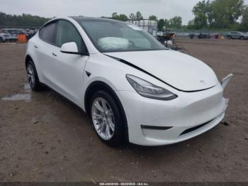  Salvage Tesla Model Y