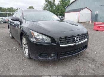  Salvage Nissan Maxima