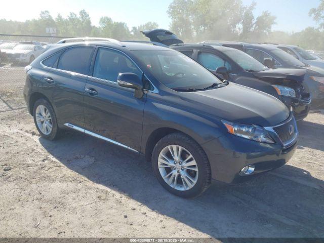  Salvage Lexus RX