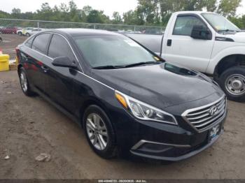  Salvage Hyundai SONATA