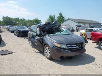  Salvage Honda Odyssey