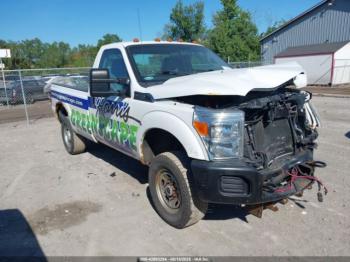  Salvage Ford F-250