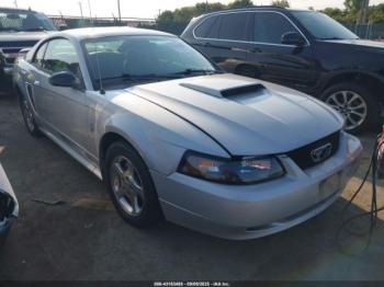  Salvage Ford Mustang