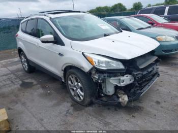  Salvage Ford Escape