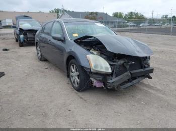  Salvage Nissan Maxima