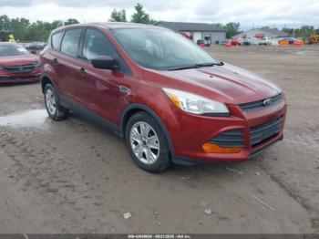  Salvage Ford Escape