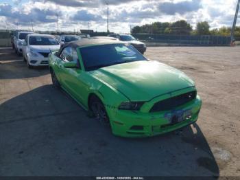  Salvage Ford Mustang