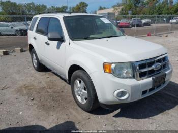  Salvage Ford Escape