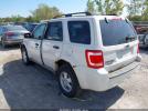 Ford Escape Xlt Image 15