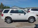 Ford Escape Xlt Image 13