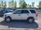 Ford Escape Xlt Image 8