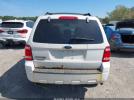 Ford Escape Xlt Image 9