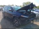 Jeep Cherokee Trailhawk Image 1